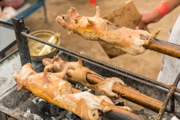 Three guinea pigs roasting on BBQ and turning around by hand. Almost ready to eat outdoors.