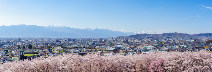 View of Cherry Blossoms Cityscape of Matsumoto and Japanese Northern Alps from Koboyama Kofun Tumulus, Nagano-pref.