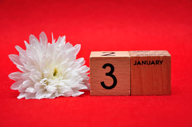 istock 3 January on wooden blocks with a white daisy on a red background 1145631107