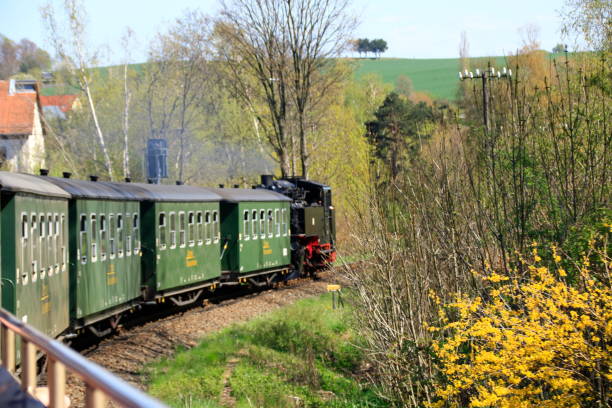 istock Narcosal track on the journey between Zittau and Jonsdorf 1145632427