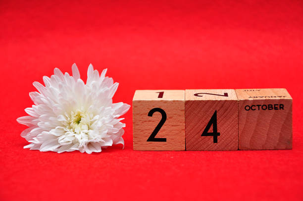 istock 24 October on wooden blocks with a white daisy on a red background 1145632601