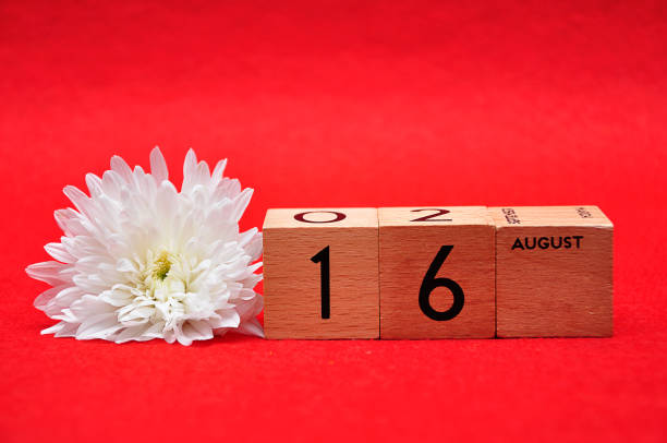 istock 16 August on wooden blocks with a white daisy on a red background 1145632684