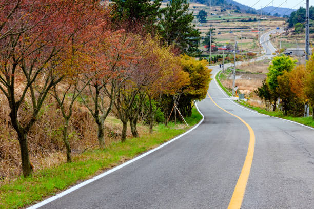 istock Tree Path of Chungshan Island 1145634002