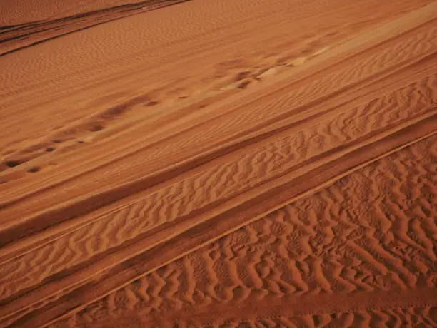 tire tracks in the red desert sand