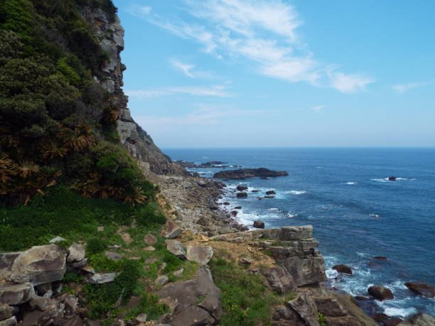 istock Japan Miyazaki Kushima Toimisaki drone 1145639424