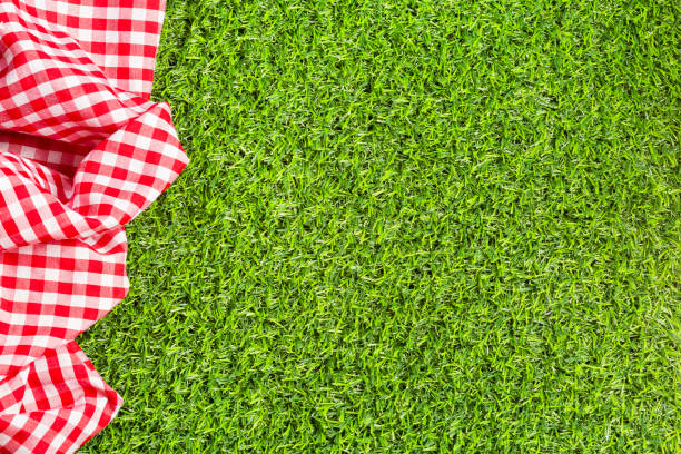 Red checkered napkin on the green grass. Background for design Red checkered napkin on the green grass. Background for design picnic blanket stock pictures, royalty-free photos & images