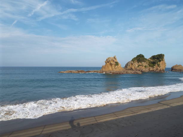 istock Kyushu Miyazaki Nichinan Ume seaside drone 1145640953