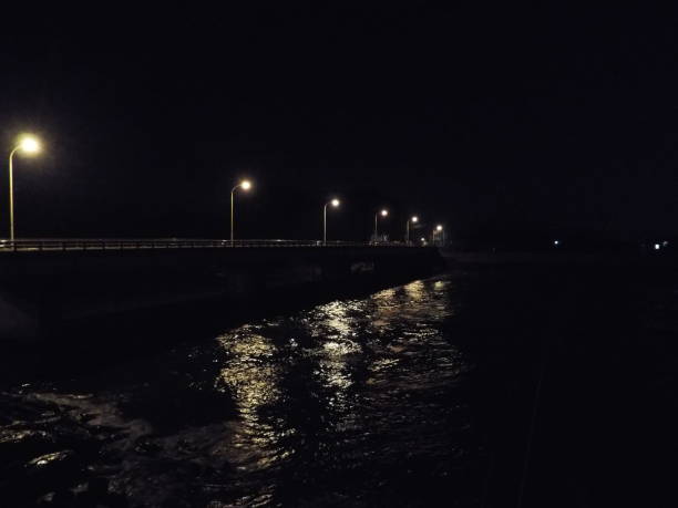 istock Kyushu Miyazaki Nichinan Ume seaside drone 1145640965