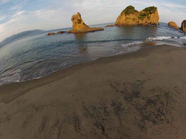 istock Kyushu Miyazaki Nichinan Ume seaside drone 1145641079