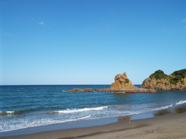 Kyushu Miyazaki Nichinan Ume seaside drone