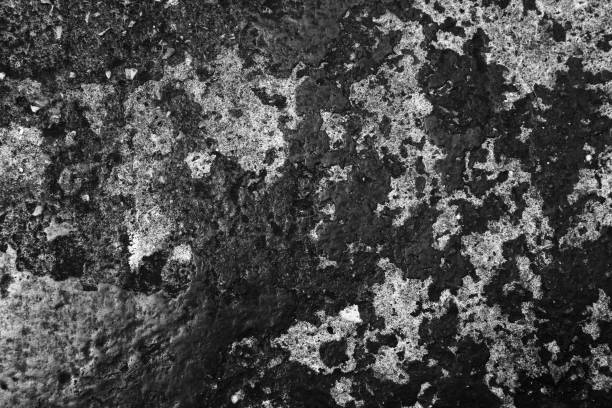 istock Beautiful rock wood and stone abstract texture background and wallpaper 1145641472