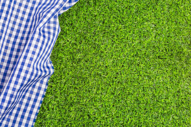 istock Blue checkered napkin on the green grass 1145641576