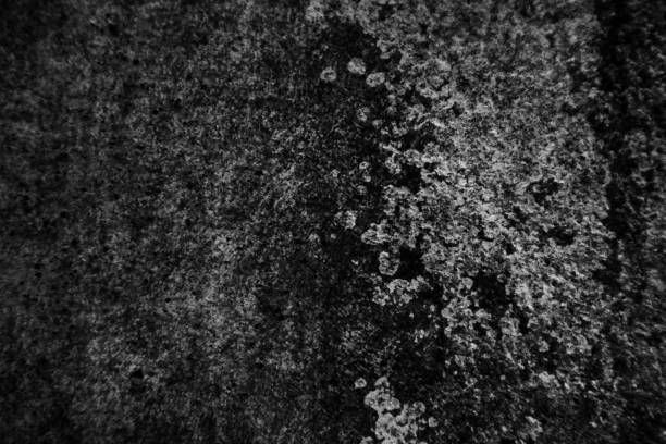 istock Beautiful rock wood and stone abstract texture background and wallpaper 1145642764