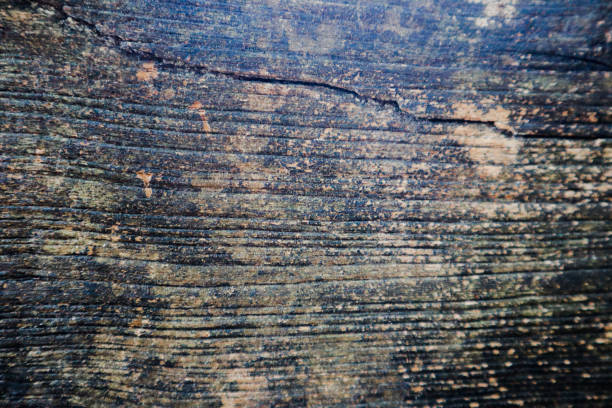 istock Beautiful rock wood and stone abstract texture background and wallpaper 1145644563