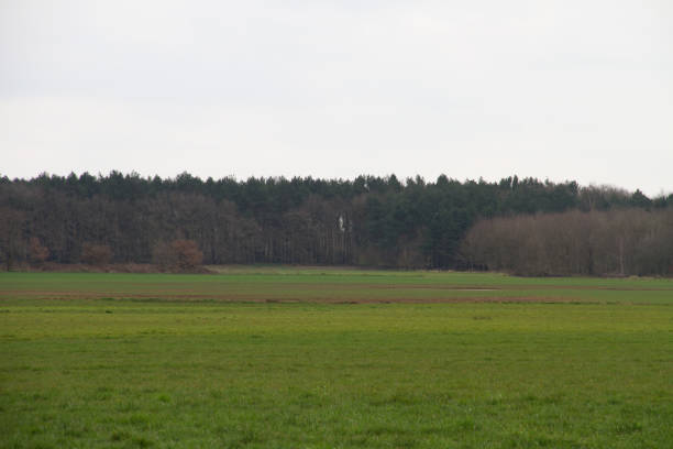istock view on a natural landscape in rhede ems emsland germany 1145645374