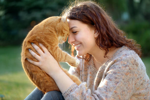 istock Woman and Cat ( summer) 1145645537