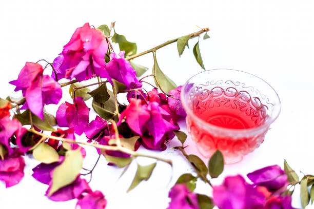 白と生の花と葉で分離された透明なガラスコップにブーゲンビリアの花のお茶のクローズアップショット。 - 無機物 ストックフォトと画像