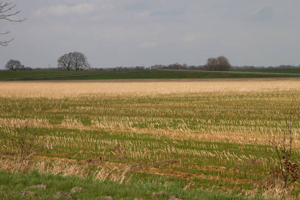istock view on a mowed field in rhede ems emsland germany 1145645559