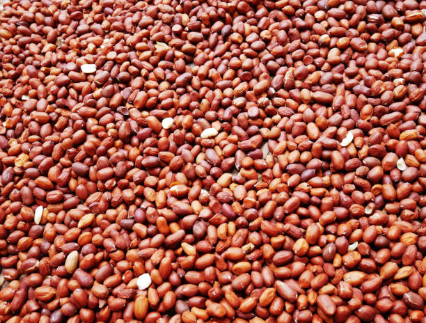 Abstract close-up orange color shape on peanut texture background.