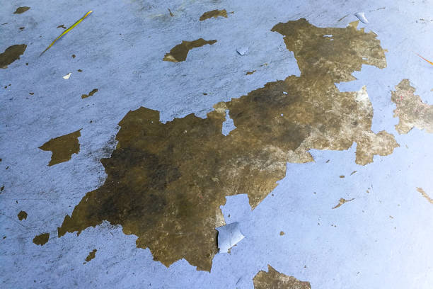 istock Epoxy flooring coat tearing off due to quality issue. 1145646262