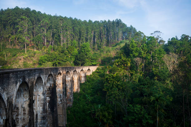 istock Nine Arches Bridge Demodara in Ella, Sri Lanka 1145646961
