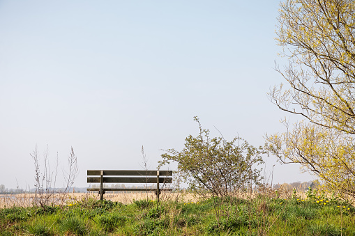 Bench with a view over a wetland