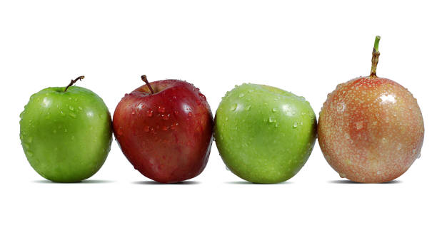 istock Group of fruits cut out on white background 1145647632
