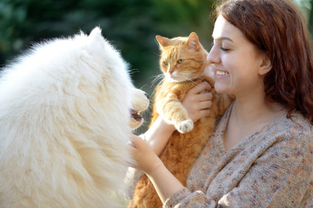 istock Woman,Dog and Cat ( summer) 1145647657