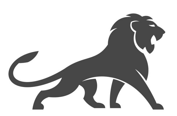 логотип льва - lion mane strength male animal stock illustrations