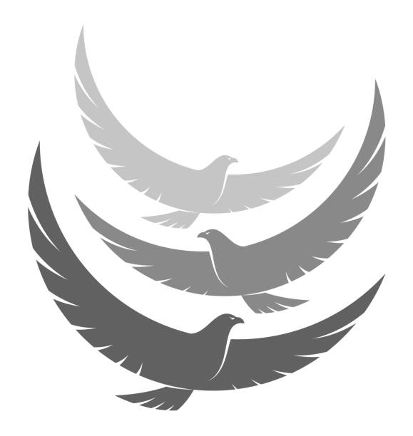 Flock of eagles Flock of eagles on a white background three parrots stock illustrations