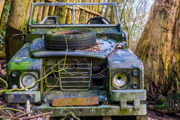 old wrecked jeep in a forest, abandoned vehicle, safari decorations