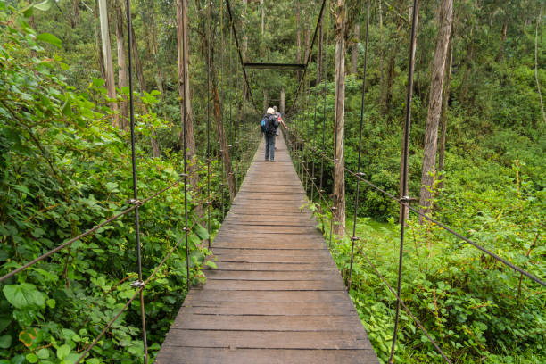istock Tourists on suspension bridge 1145650397