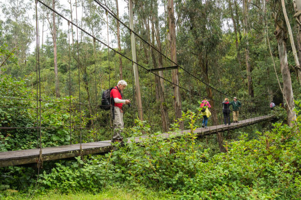 istock Tourists on suspension bridge 1145650545