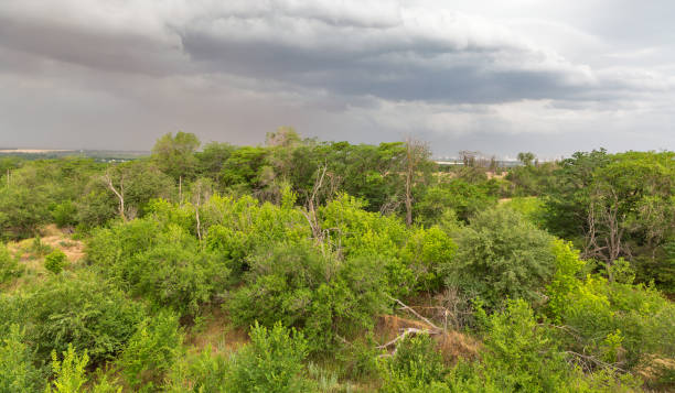 istock Thunder sky over Khortytsia island, Ukraine 1145651873