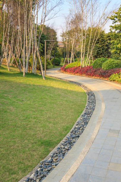 istock Beautiful summer garden with a walkway winding its way through, Silver birch and shrub and flowerbed around. Fuzhou,China 1145653887