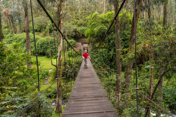 istock Senior men on suspension bridge 1145655475