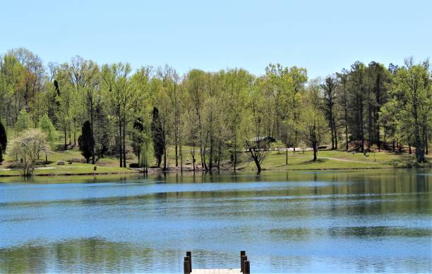 istock Green Trees Beckon Across the Lake 1145655526