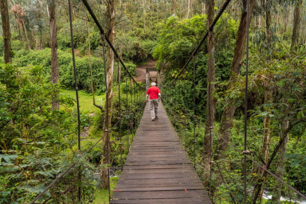 istock Senior men on suspension bridge 1145655557