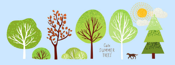 illustrazioni stock, clip art, cartoni animati e icone di tendenza di simpatici alberi estivi, illustrazione vettoriale isolata di alberi, foglie, abeti, arbusti, sole, neve e nuvole, elementi della natura per creare un paesaggio - panoramic landscape illustration and painting tree