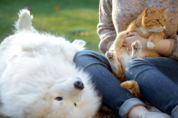 woman, dog and cat