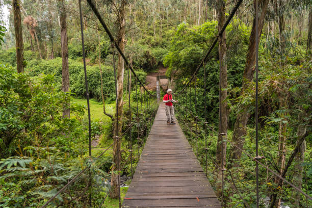 istock Senior men on suspension bridge 1145656798