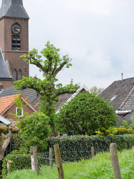 istock the dutch village of bredevoort 1145657108