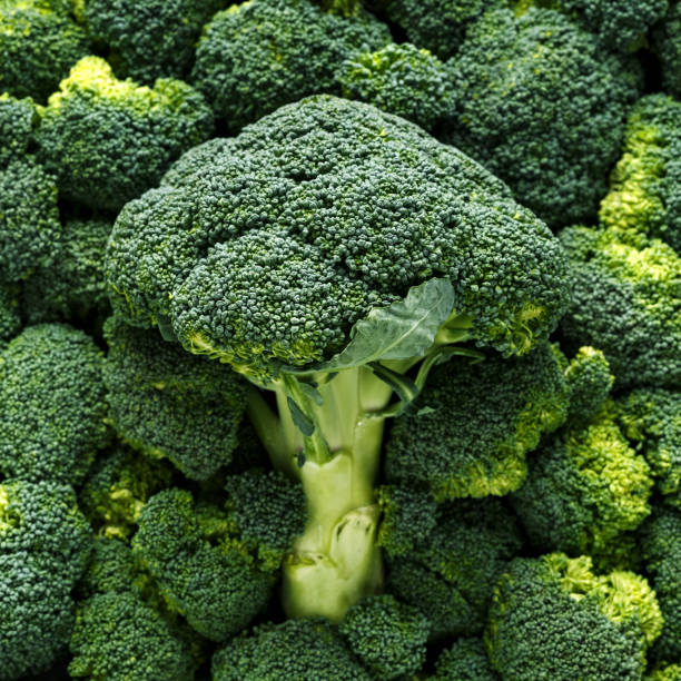 istock Healthy Fresh Green raw Broccoli. background, texture. 1145658612