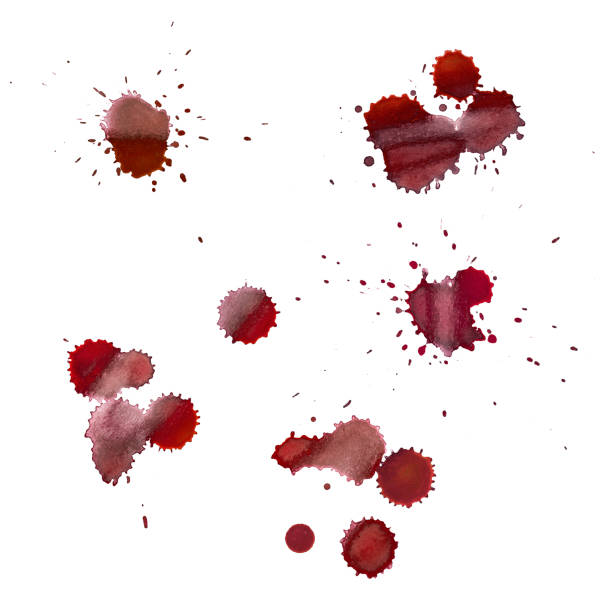2,300+ Blood Splatter On White Stock Photos, Pictures & Royalty-Free ...