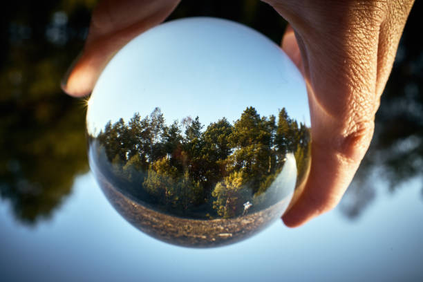 istock Upside down landscape of beautiful sunny forest with woman's hand 1145667133