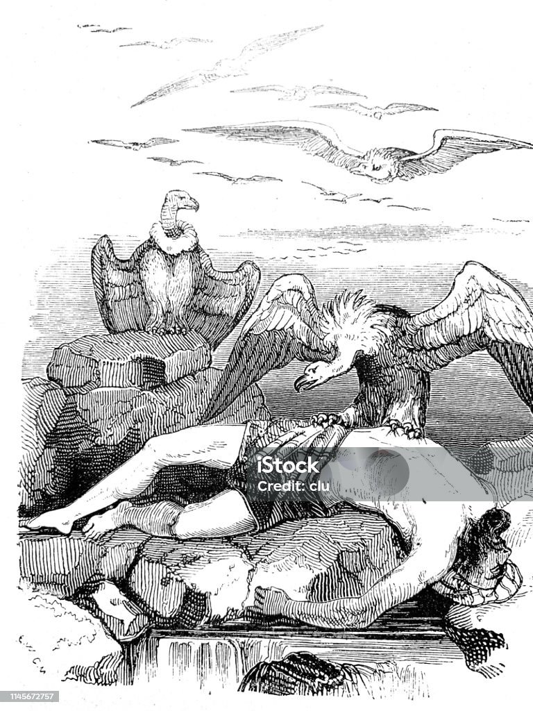 Vultures orbit a male corpse Illustration from 19th century Vulture stock illustration
