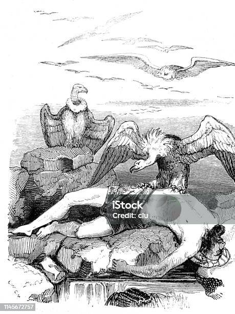 Vultures Orbit A Male Corpse Stock Illustration - Download Image Now - Vulture, Illustration, Dead Person