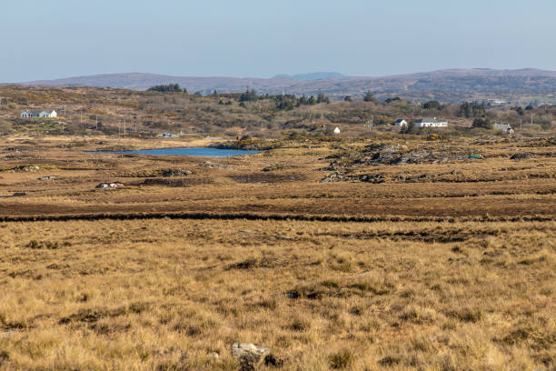 istock Farms with Bog, vegetation and lake 1145672998