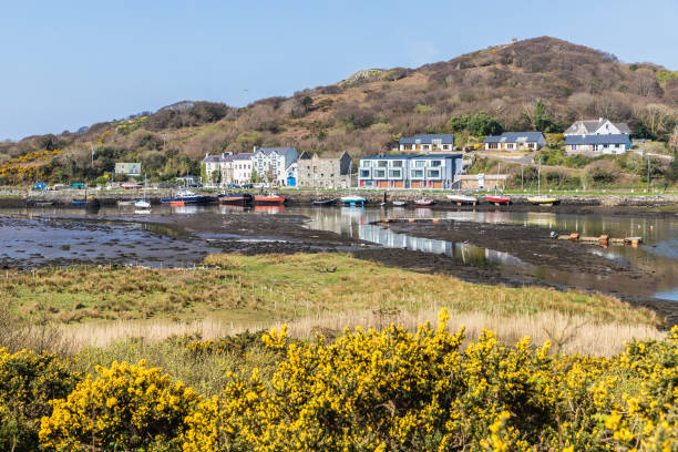 istock Pier with buildings and boat in a low tide Clifden bay 1145673799