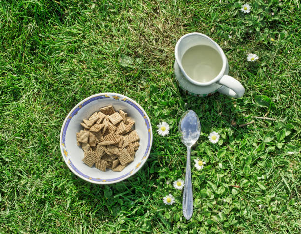 sommerfrühstück auf dem rasen-schredden mit gänseblümchen - shreddies stock-fotos und bilder